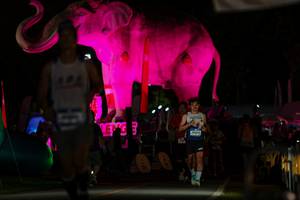 BIB: 
                            <button type="button" onclick="openModal(26530649)" class="btn btn-primary btn-sm float-right btn-popup" data-toggle="modal" data-target=".modal-high-quality">
                        <i class="fas fa-shopping-cart"></i> Add to Cart
                    </button>
                                            <button type="button" onclick="isThisMe(26530649, true)" class="btn btn-success btn-sm float-right btn-popup btn-isme hidden" data-toggle="tooltip" data-placement="bottom" title="นี่คือรูปของคุณใช่ไหม คลิกที่นี่เพื่อเอาเข้าอัลบั้ม">
                        <i class="fas fa-plus"></i> Add to album
                    </button>
                    <button type="button" onclick="isThisMe(26530649, false)" class="btn btn-warning btn-sm float-right btn-popup btn-isnotme hidden">
                        <i class="fas fa-ban"></i> Remove from album
                    </button>